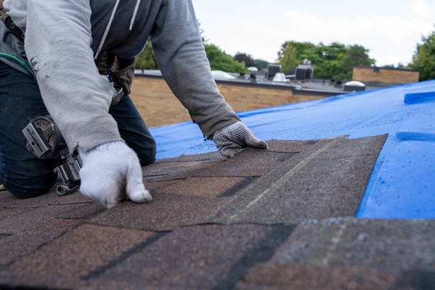 Best Storm Damage Roof Repair  in Peshtigo, WI